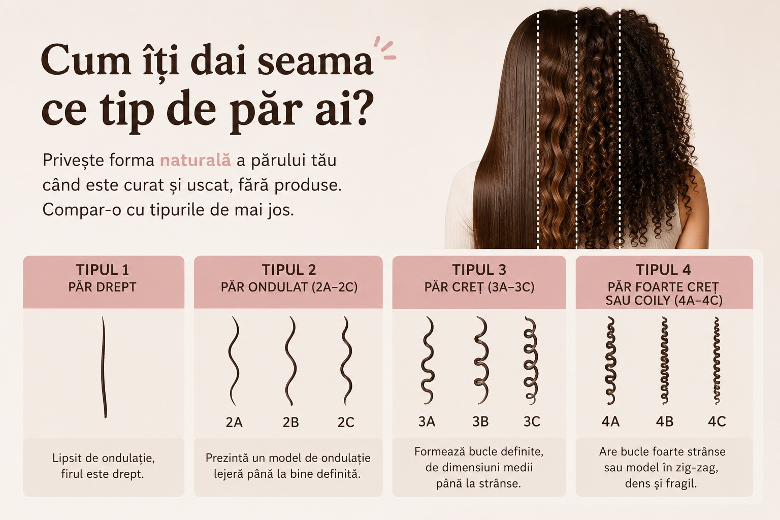Infografic cu tipurile de păr: păr drept, ondulat (2A-2C), creț (3A-3C) și foarte creț sau coily (4A-4C), pentru identificarea texturii naturale a părului.